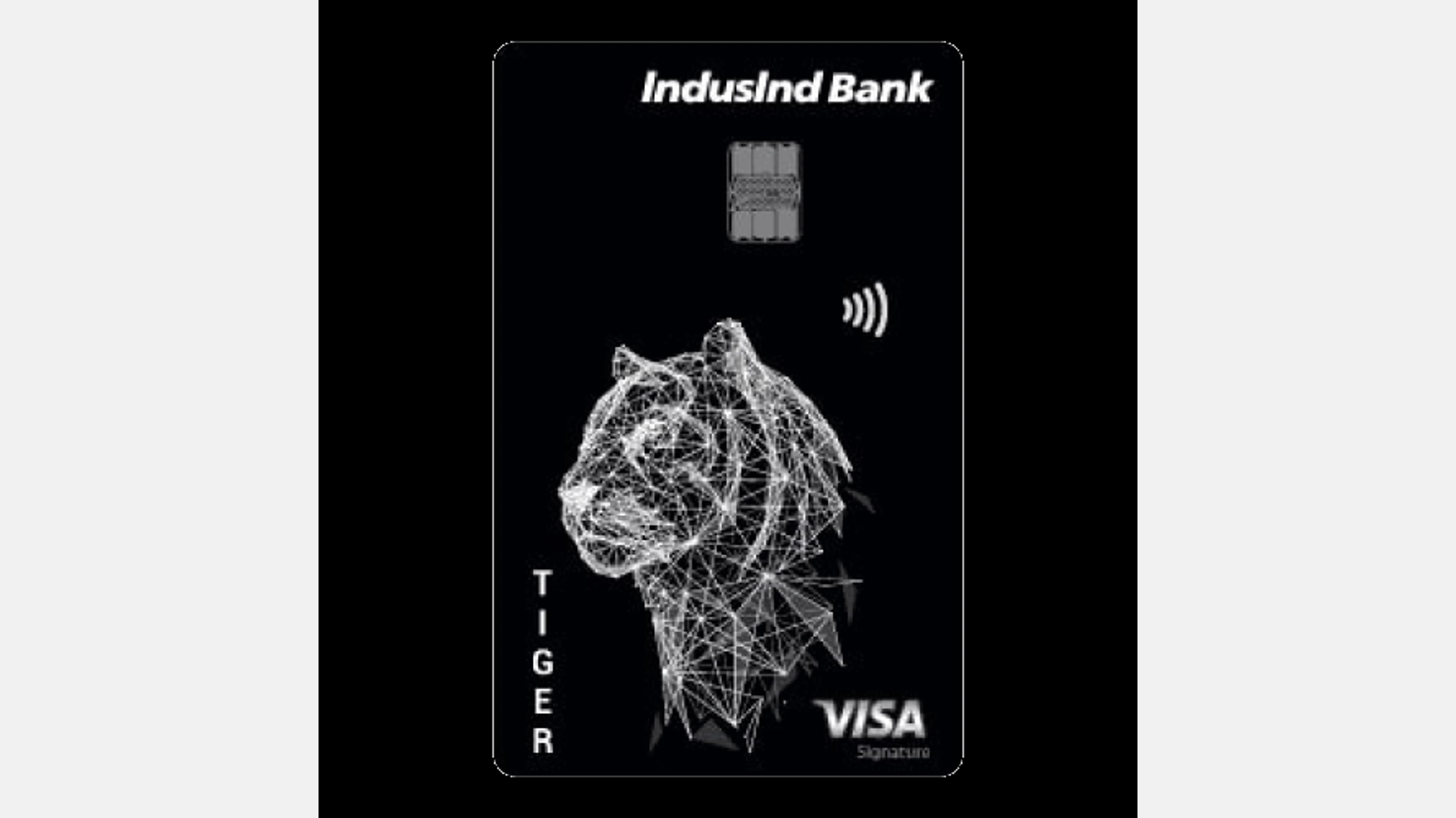 IndusInd Bank Neo credit card