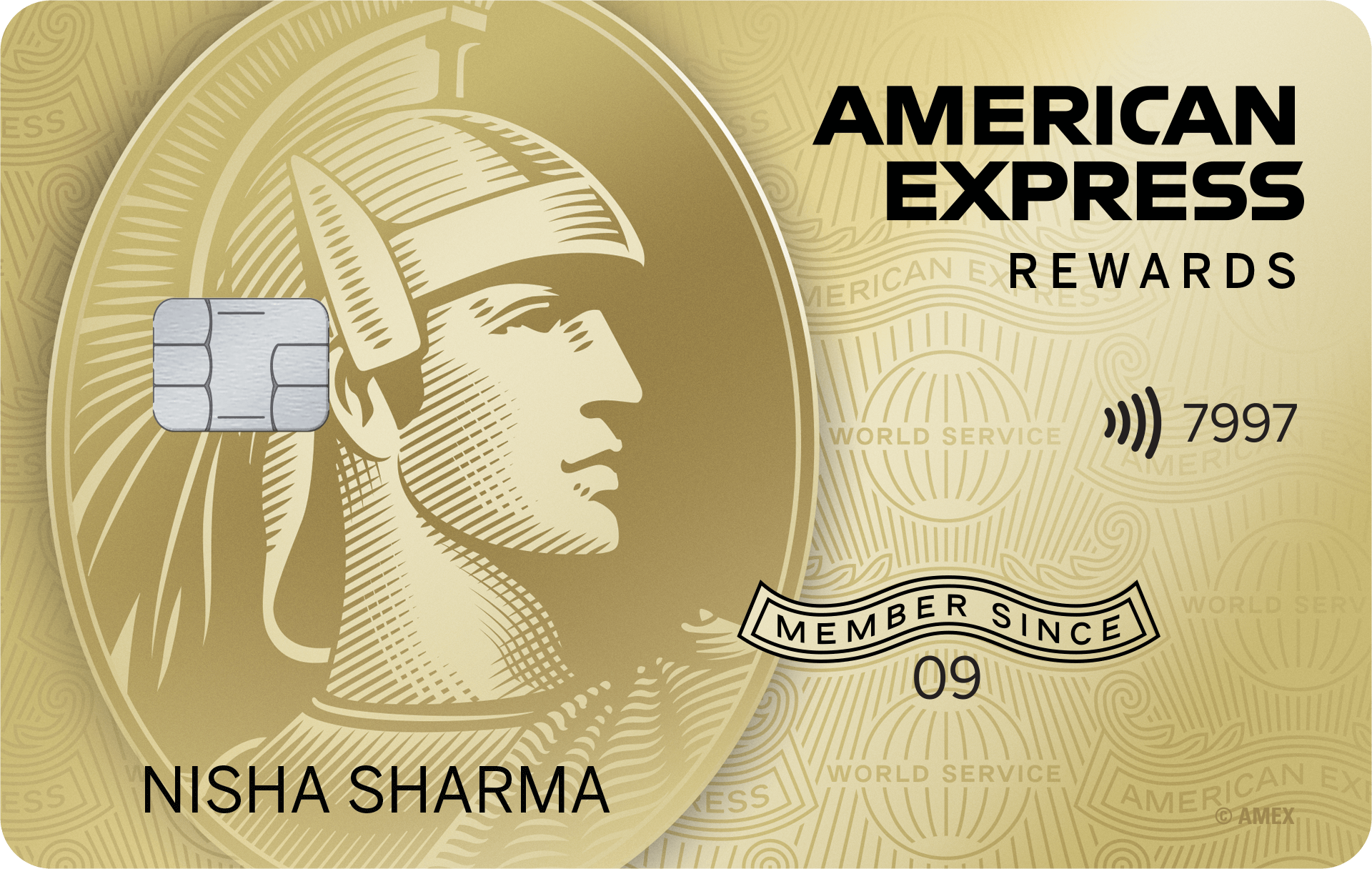 Amex Membership Rewards Credit Card